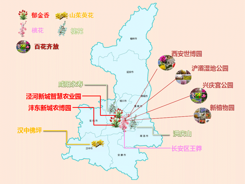 赏花地图2.0.png