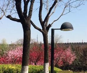 假期加班还是旅游？ 近五成职场人穷忙生活不理想