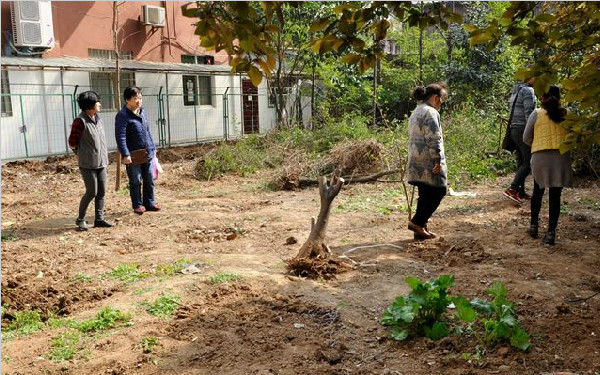 物业清除小区绿化业主阻拦 物业称为建消防扑救场地