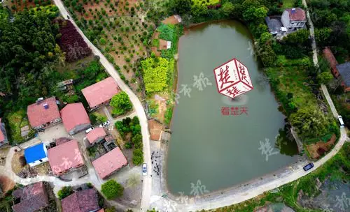 男子清明带妻儿回乡扫墓 2岁儿子却成了一座孤坟