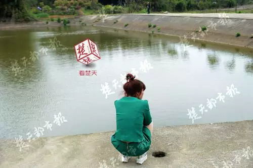 男子清明带妻儿回乡扫墓 2岁儿子却成了一座孤坟
