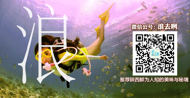 浪去咧.gif