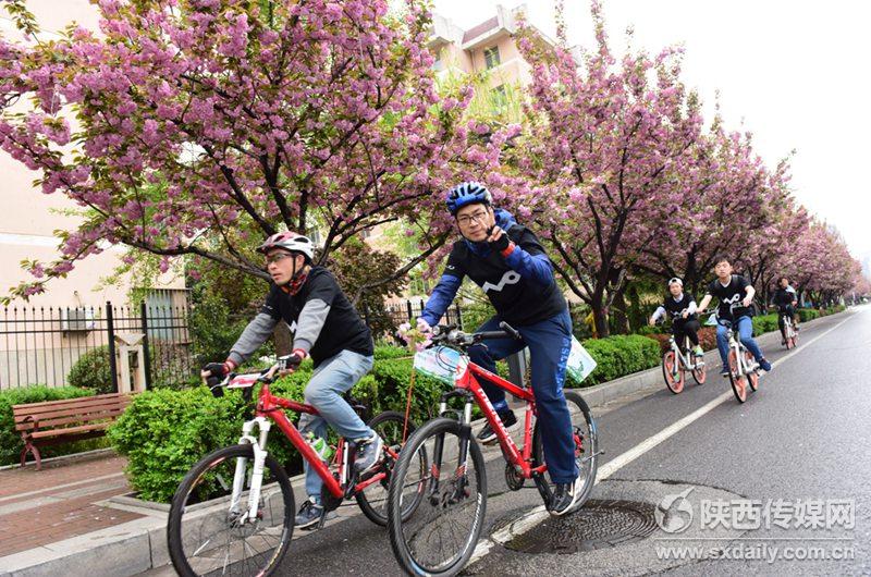 樱花烂漫正当时 清香飘溢高新区【2】