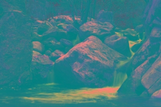 美酥!西安自驾游去哪里好玩?逛太平峪·赏紫荆