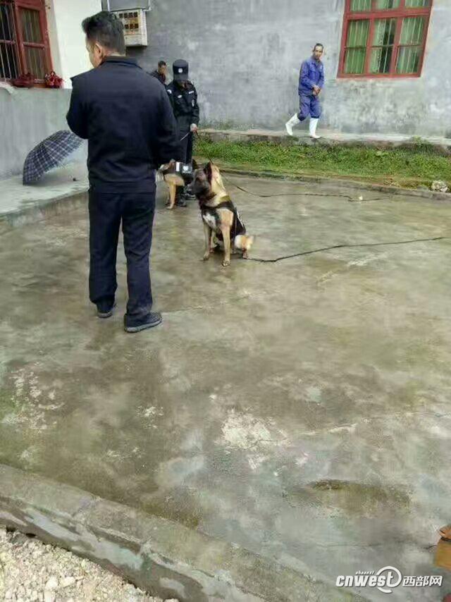 汉中年仅1岁半小女孩在家中被不明身份男子抱走