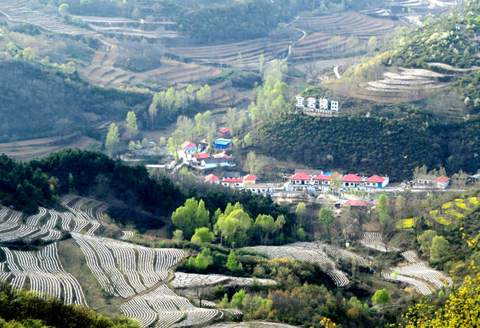 陕西新闻_华商新闻