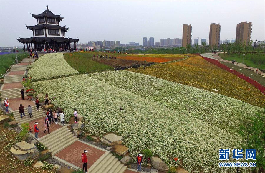 （环境）（3）“飞阅”花博园