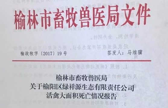 不要恐慌!榆林一公司活禽大量死亡 尚未确定是H7N9 