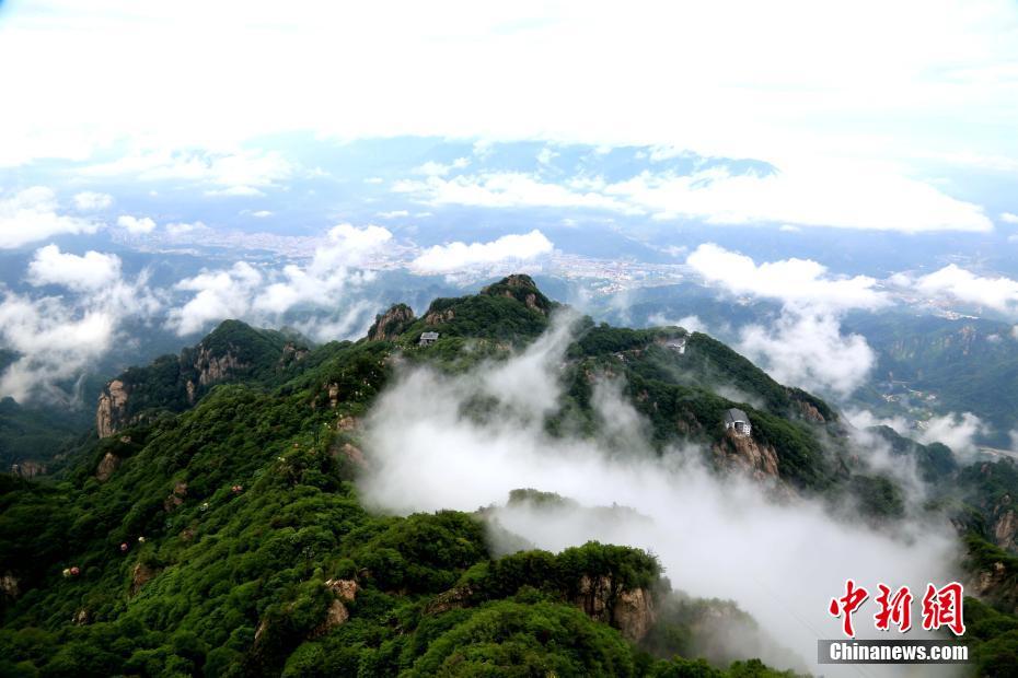 雨后老君山云海翻涌宛如仙境