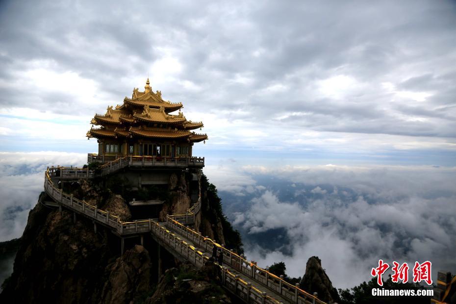 雨后老君山云海翻涌宛如仙境