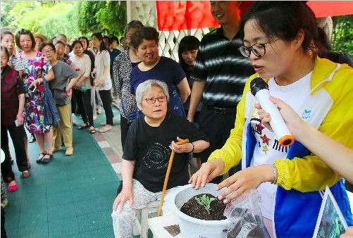 西安植物园科普进社区 300株菊苗免费送市民