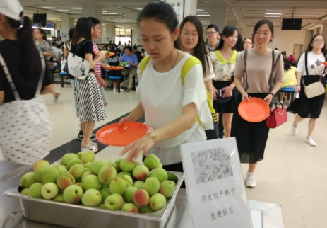 羡慕吗？陕师大自产桃子熟了免费发放给学生