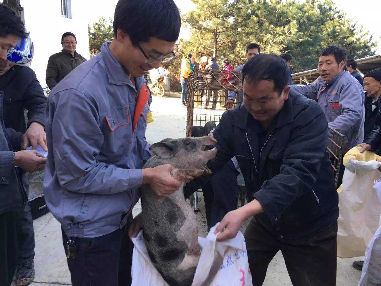 商南县旅游开发局驻村工作队队员路体玉同志先