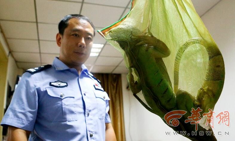 QQ截图20170707182329.jpg