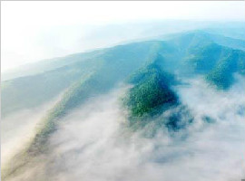 黄土高原惊现云山雾海