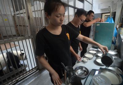 三位当事饲养员正在为熊猫们准备晚餐。