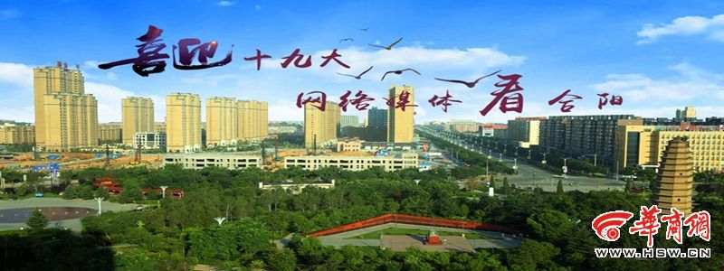 合阳新池镇坡赵村五星级红旗党支部发展纪实