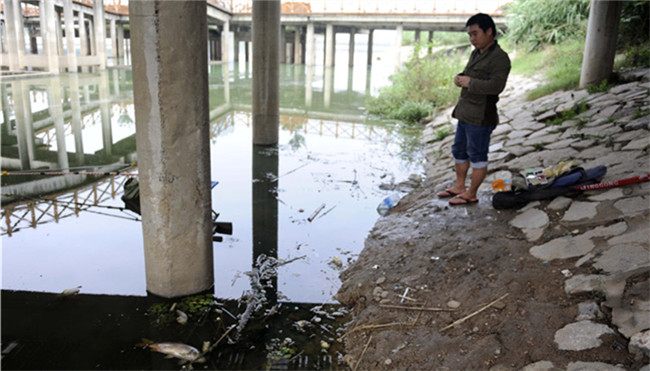 灞河部分河段漂浮着死鱼 生态管理局:缺氧所致