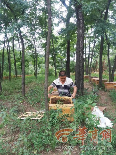 0e794b1x.jpg 0e794b1x.jpg