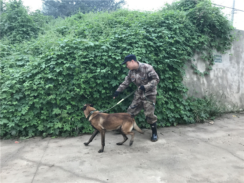 宝鸡11岁留守女童负气离家 4天后水库发现遗体