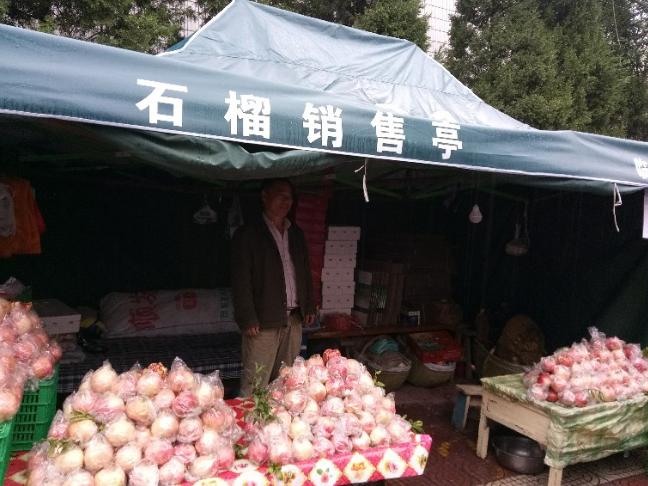 别买错了！14个临潼石榴销售点设有绿色标志
