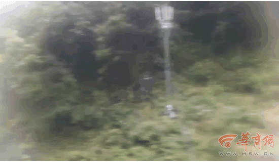 zekfp169.gif 即将到达新场街站v.gif
