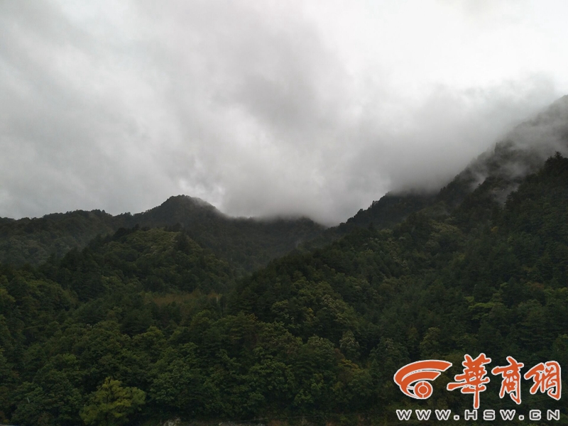 QQ图片20170927110317.jpg