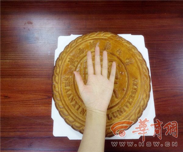 搞出月饼界的iphonex
