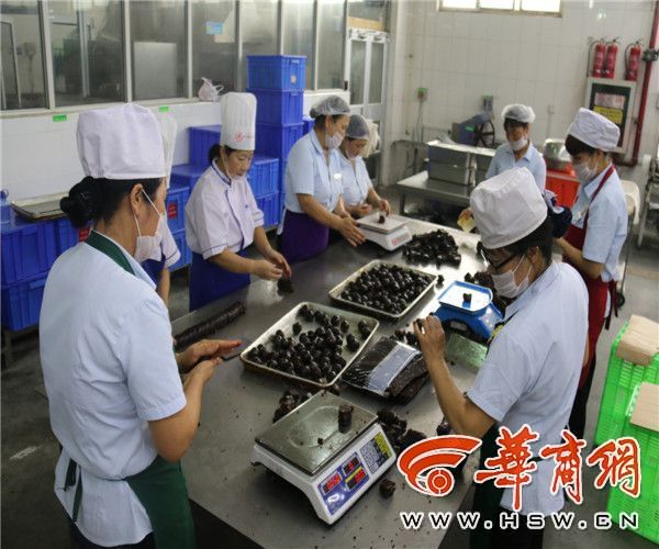 月饼手工制作中.JPG
