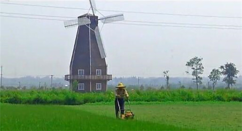 \