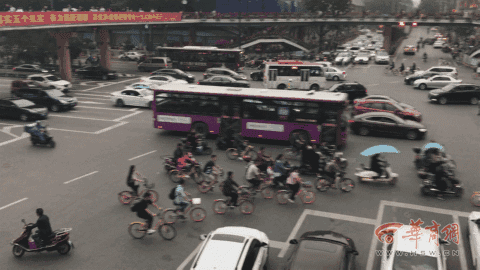 0 (9).gif