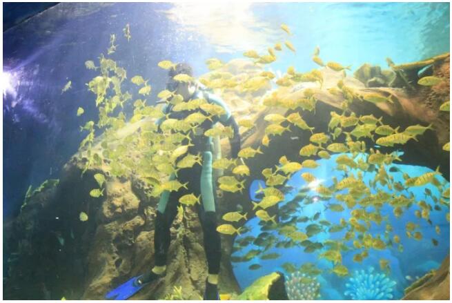 449万人的选择!超级假期曲江再成出行爆款