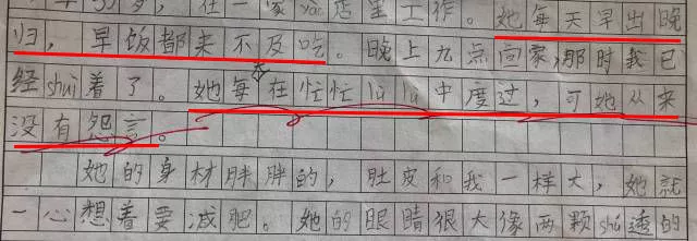 小学生作文揭妈妈双眼皮是做的 网友:这娃不要了