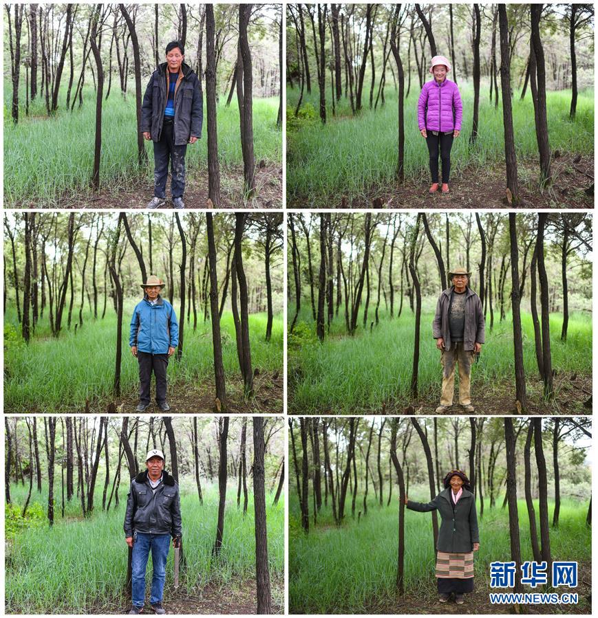 （十九大读报告 话民生）（9）加快生态文明体制改革，建设美丽中国