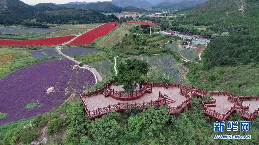 (十九大读报告 话民生)(10)加快生态文明体制改革,建设美丽中国