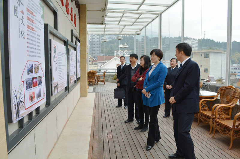 集团公司检查组深入镇安供电分公司督导检查精