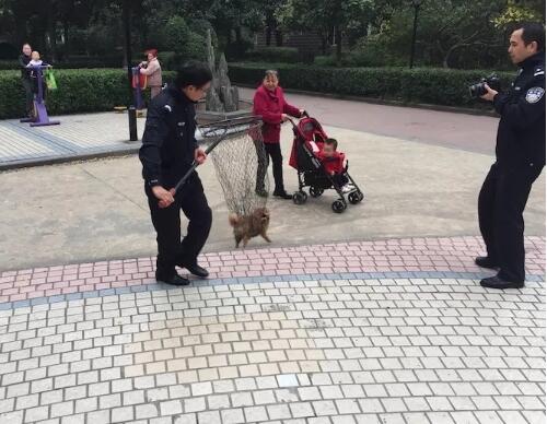 旭景名园业主举报不文明养狗 民警入户查狗