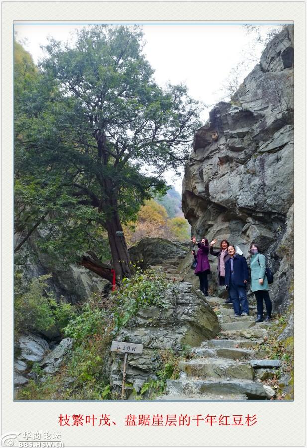 访古做客古村落探幽寻宝石船村