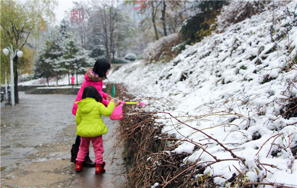 朋友圈被雪刷屏!昨铜川渭南咸阳等地迎初雪