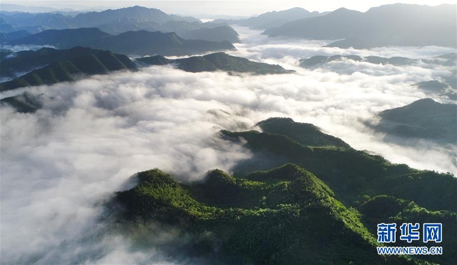 　这是5月23日拍摄的陕西省汉中市宁强县九台观风景区。