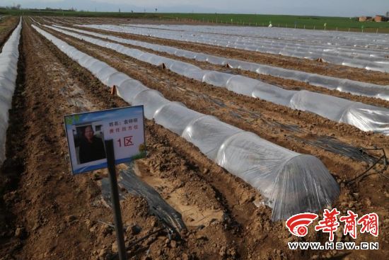 宝鸡陈仓区:留勤汰懒激发贫困户内生动力|宝鸡