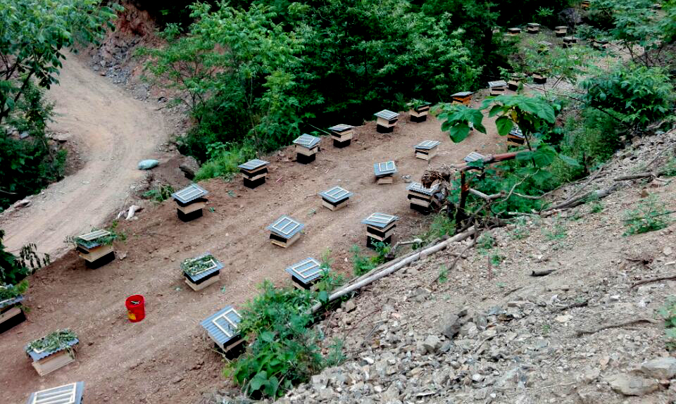 商南:二郎庙村用心“绣花” “绣”出扶贫新图景|商南|二郎-陕西地方快讯_华商网新闻