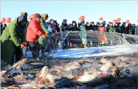 大庆连环湖冬捕头鱼拍得55万