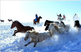 牧民驯马扬鞭踏雪场面壮观