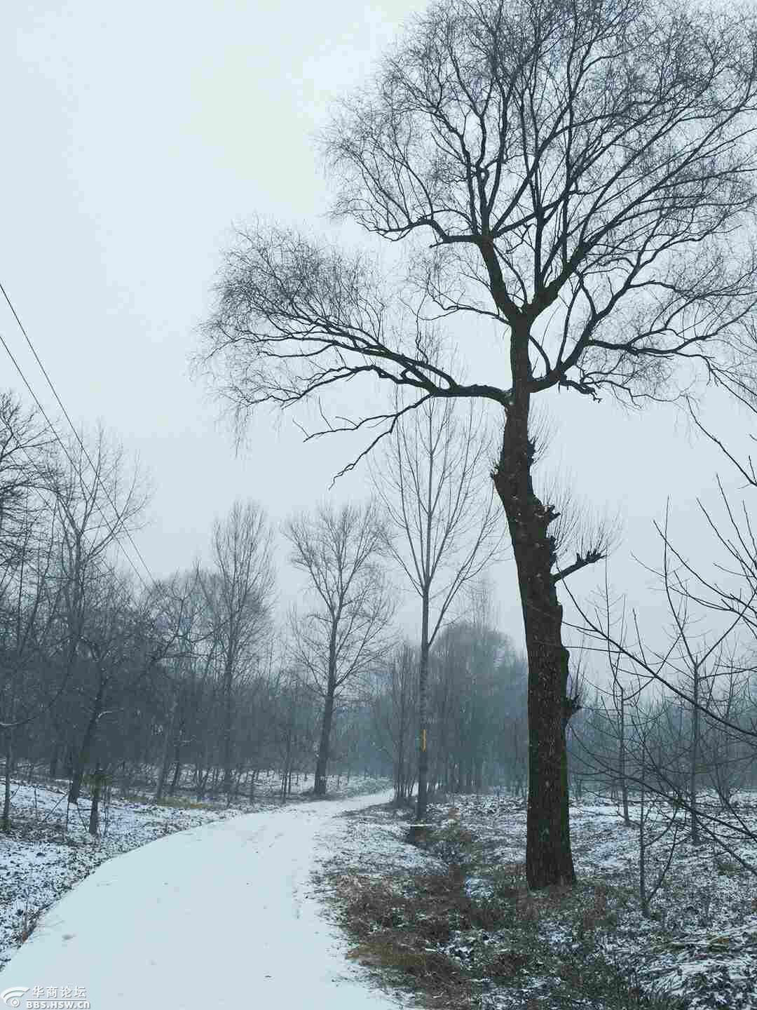 2018年蓝田厚镇第一场雪(手机拍摄)