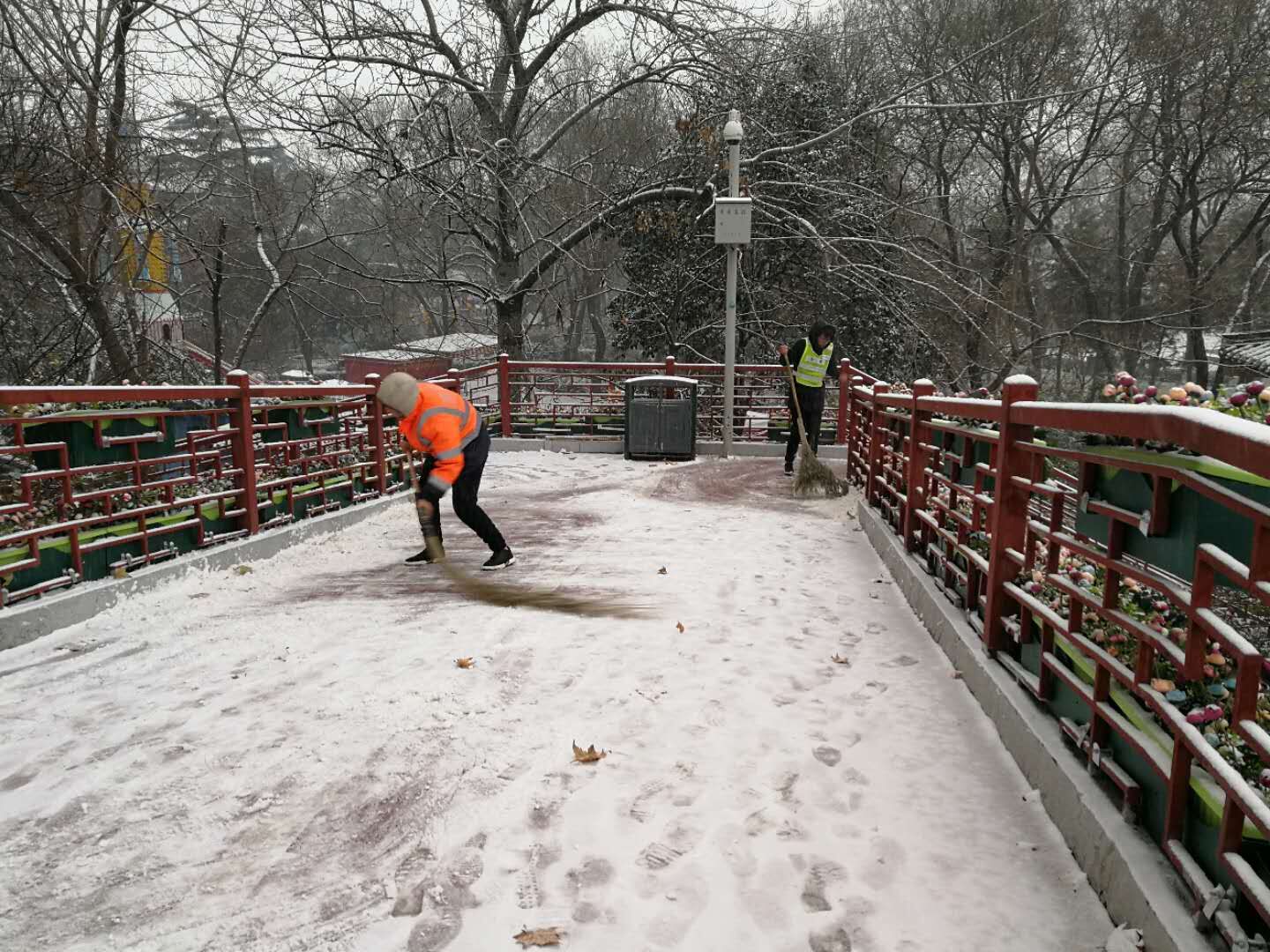 市政部门及时启动消除积雪积冰预案 保障市政设施安全运转