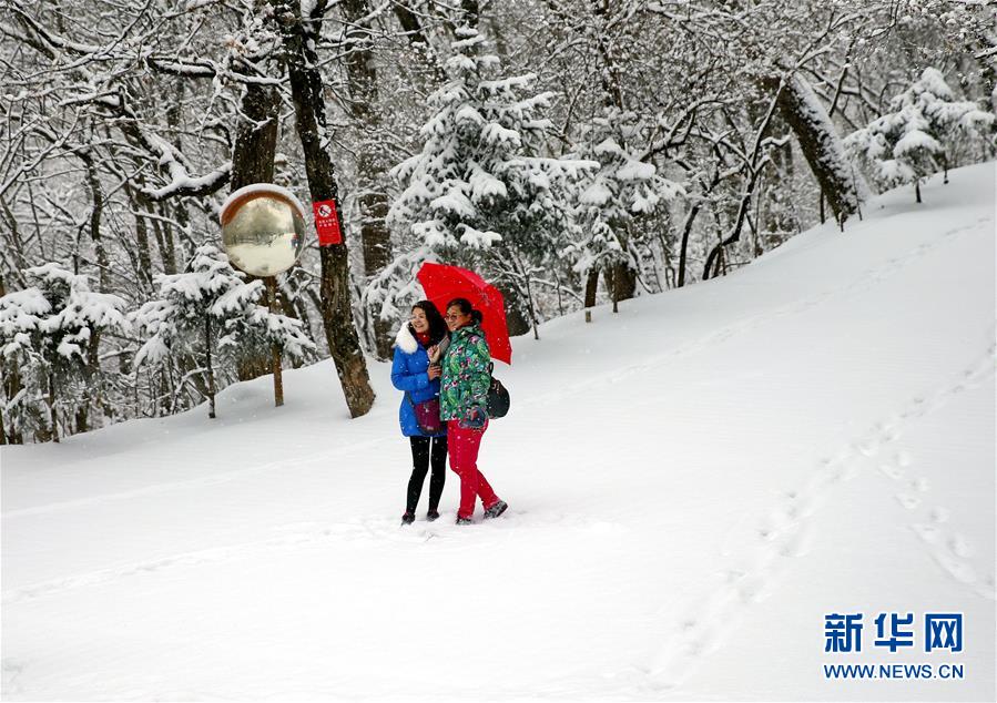 #（环境）（1）多地迎来降雪 