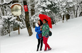 不止西安 我国多地迎降雪