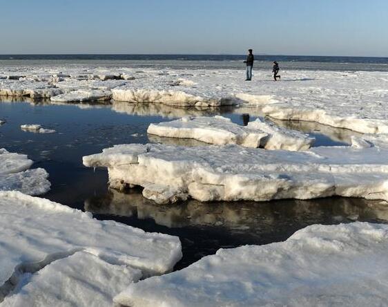 海冰被涌上岸边 渤海海域现极地冰原景观