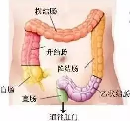 史上最壕阳台!网友:南方大户人家 和开宾利同级别